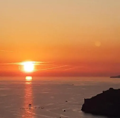 아파트 아파트먼트 비올라