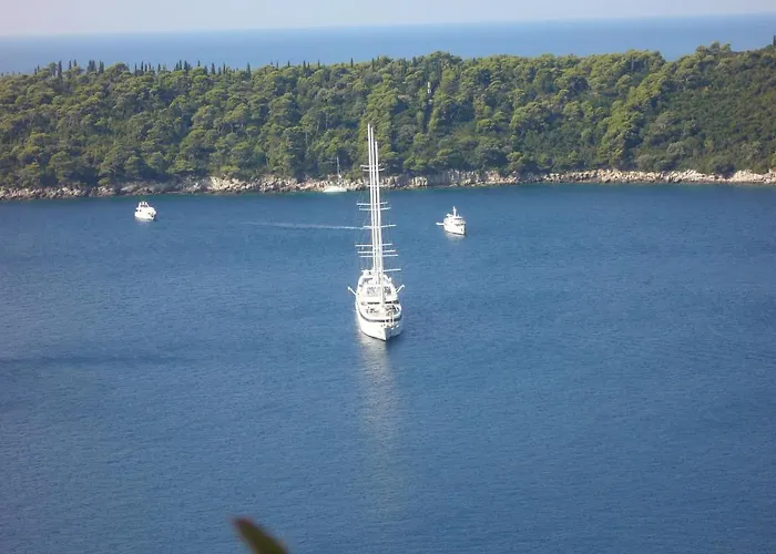 아파트먼트 비올라 *